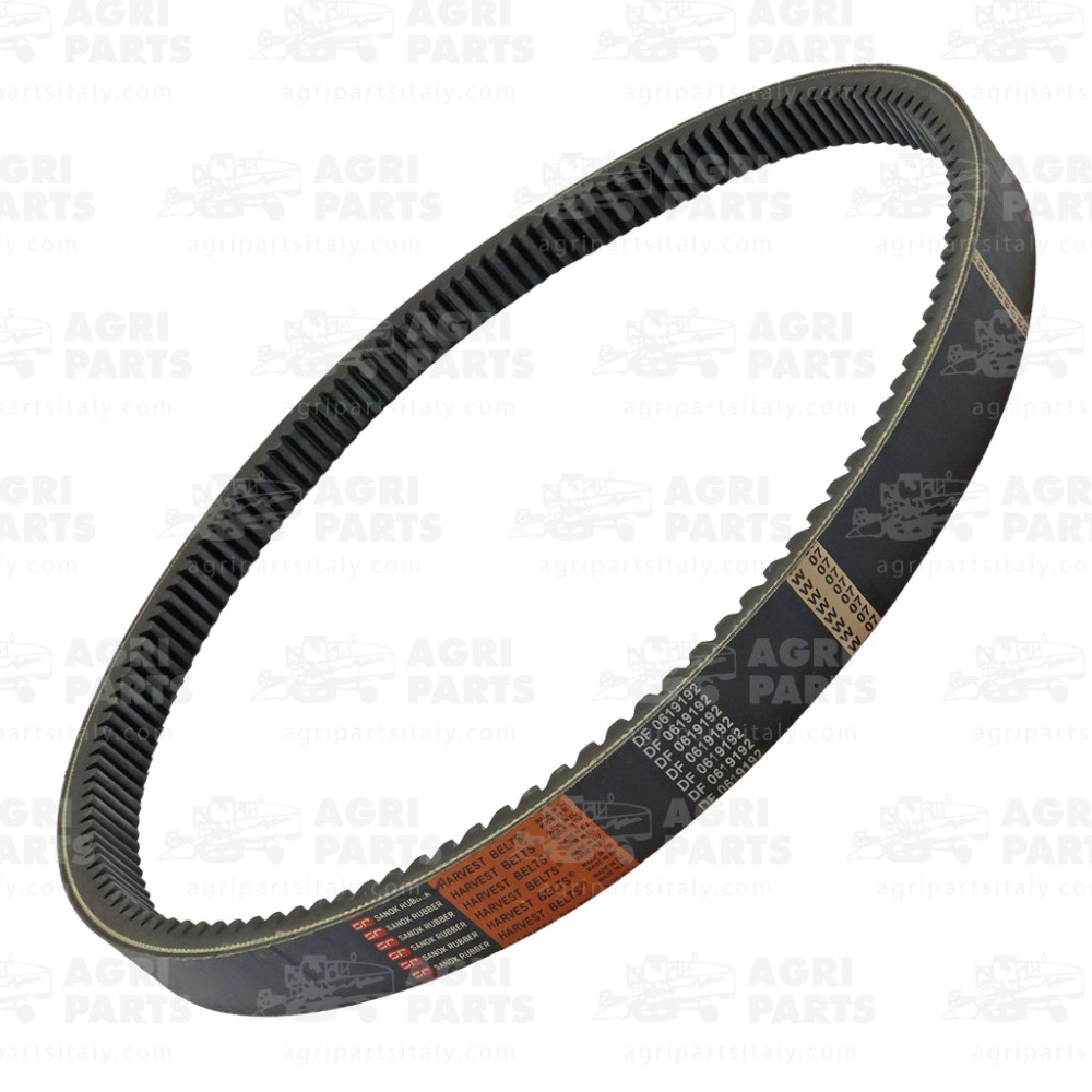 619192 - CINGHIA - 0619192SA