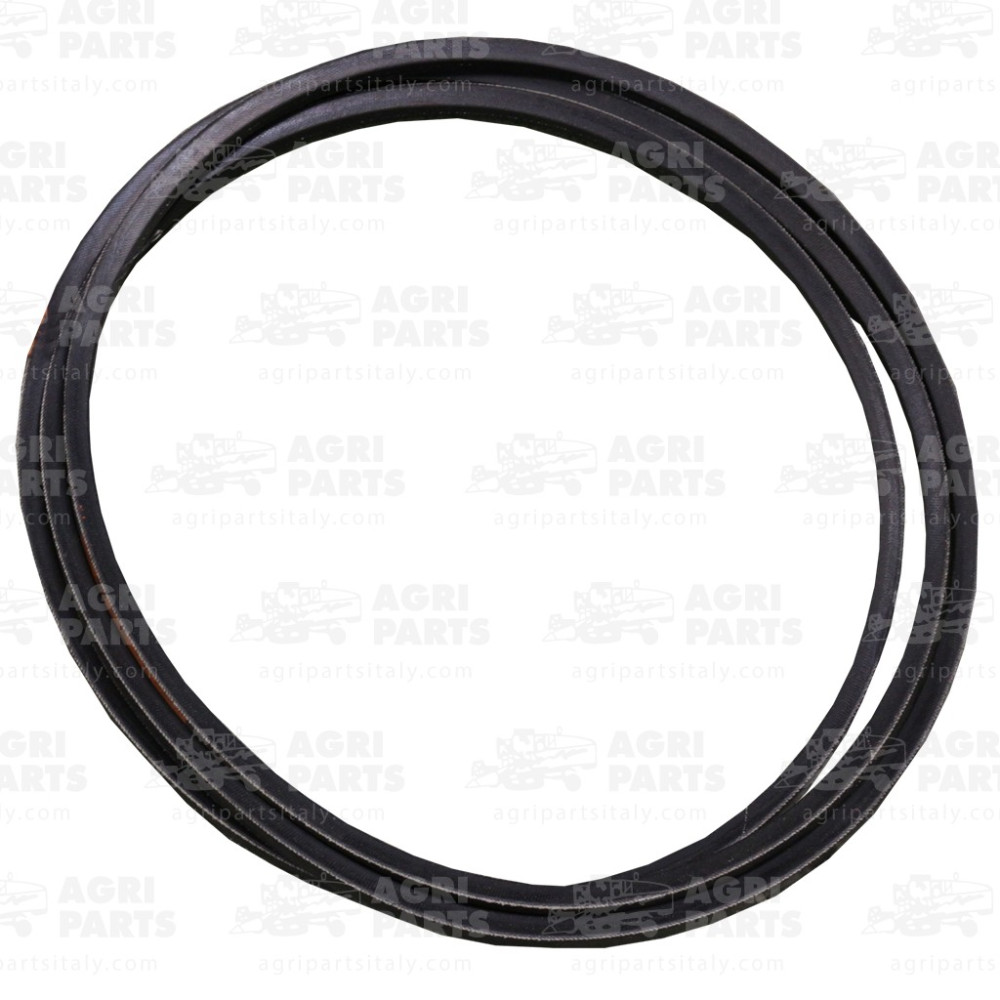 6675611 - CINGHIA - 0006675611CL