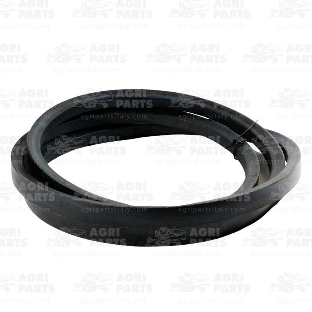 7420250 - CINGHIA - 0007420250CL