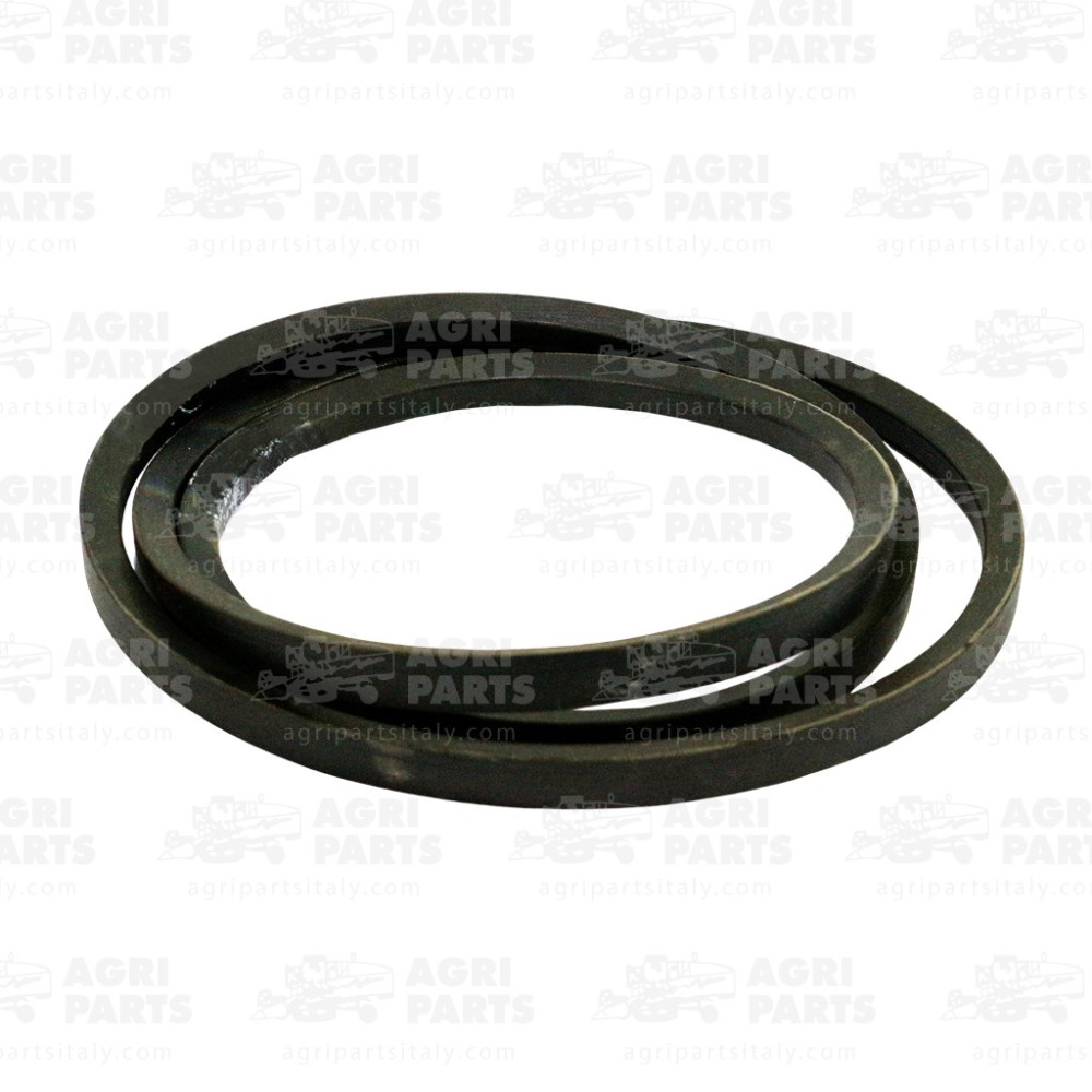 7448741 - CORREA - 0007448741CL