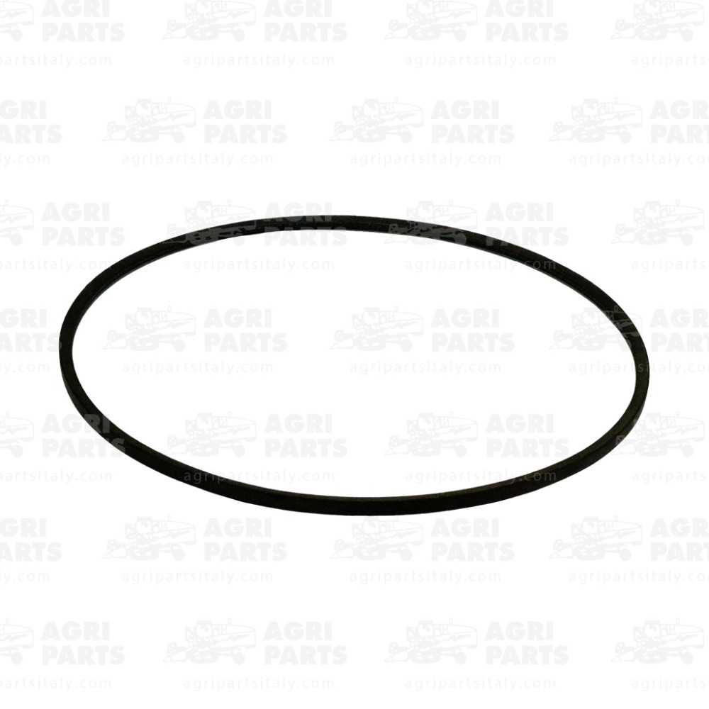 7614120 - CINGHIA - 0007614120CL