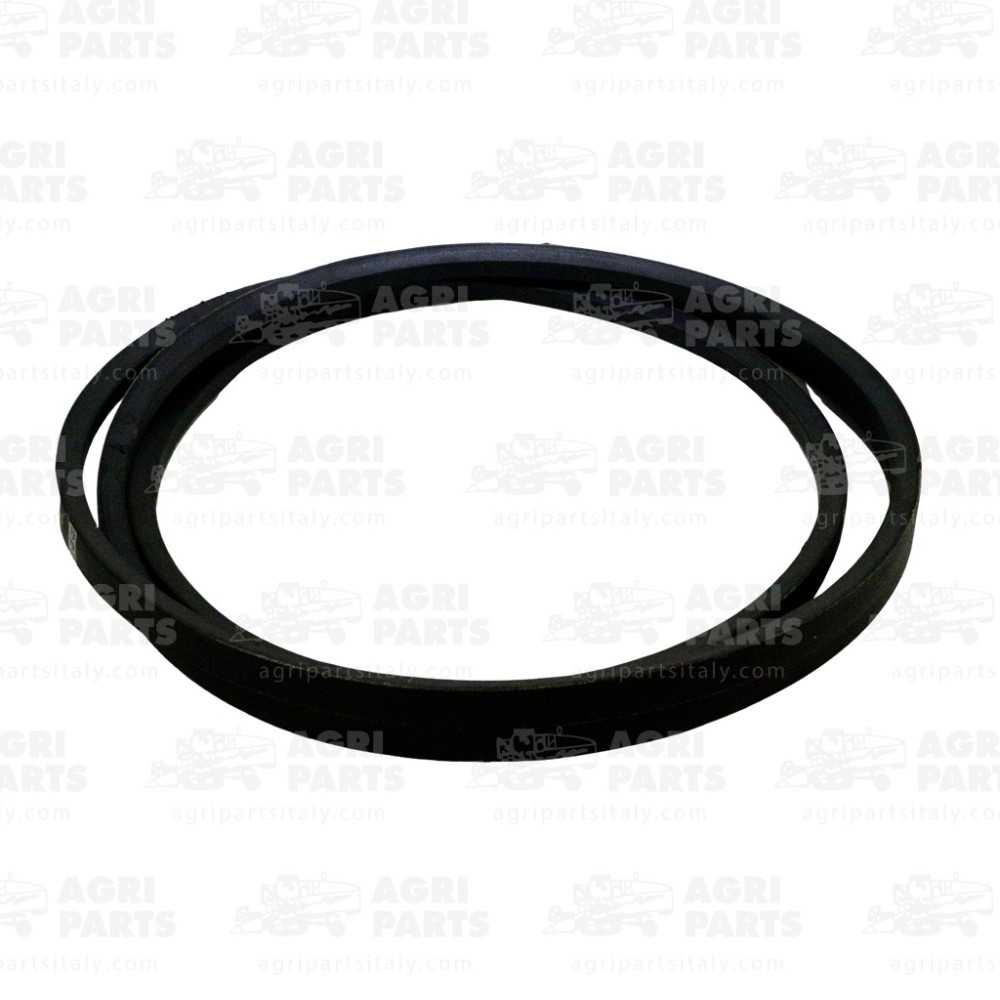 8029310 - RIEMEN - 0008029310CL