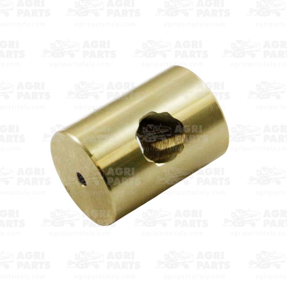 13905570 - GOUPILLE - 0013905570CL