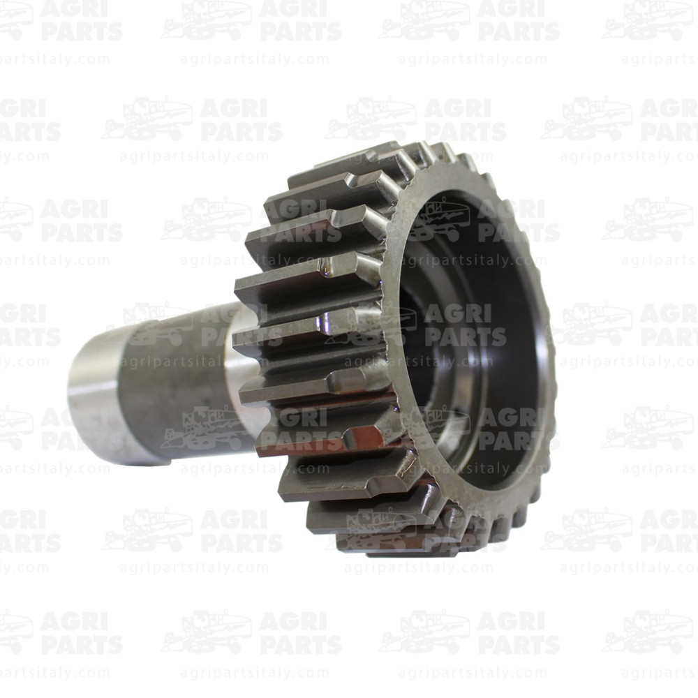 184217C1 - PIGNONE - 184217C1CNH