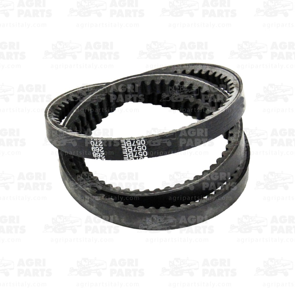 21964 - CINGHIA - 21964MD