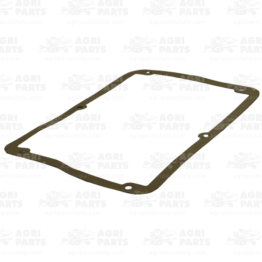 300015969 - DICHTUNG - 300015969AG