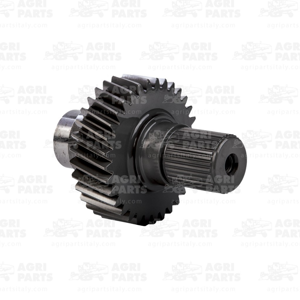 302553A1 - INGRANAGGIO - 302553A1CNH