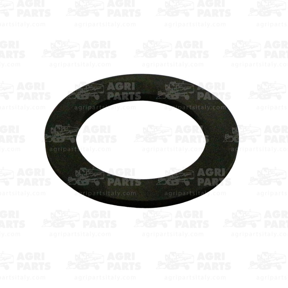300113956 - GASKET - 300113956AG