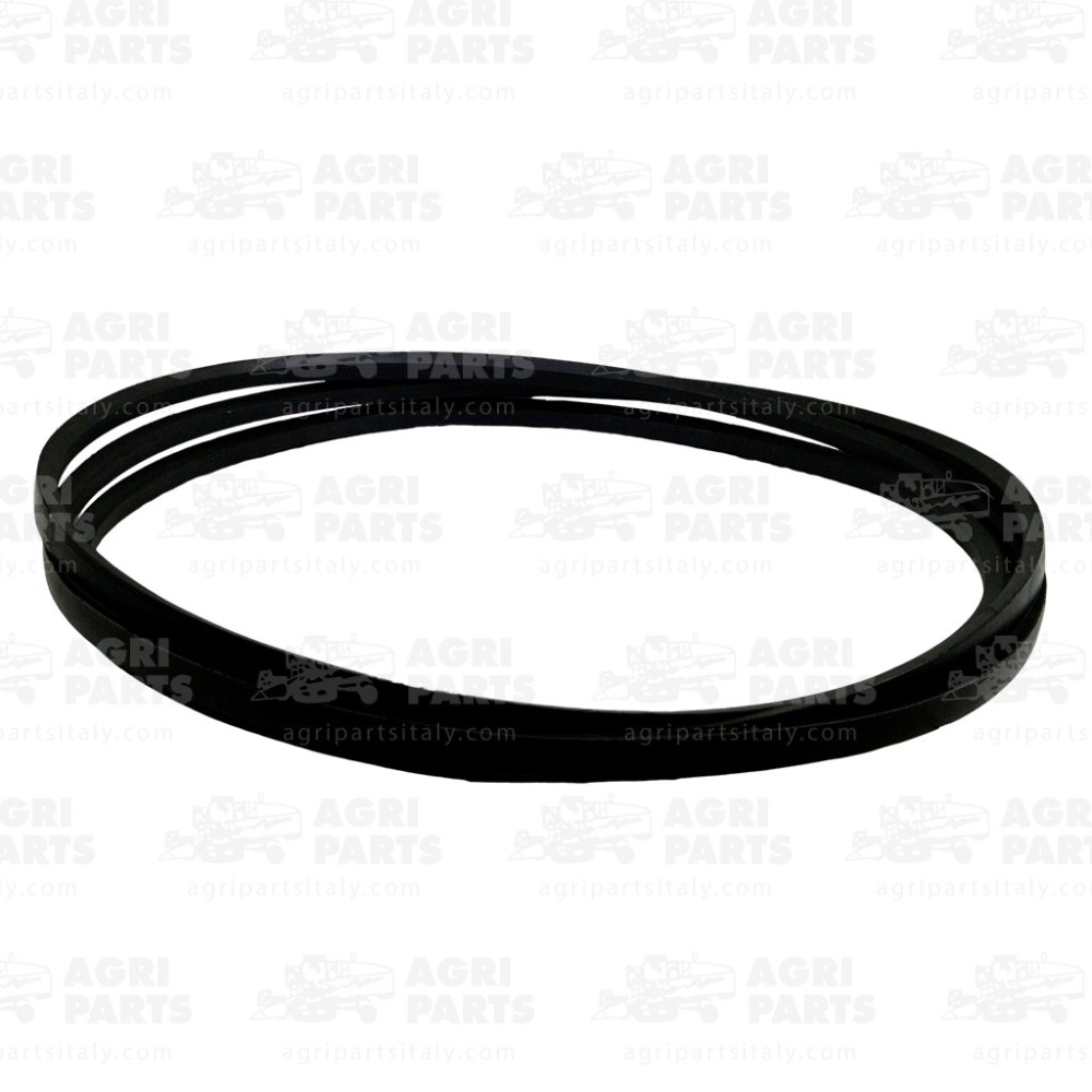 3175160M1 - CORREA - 3175160M1AG