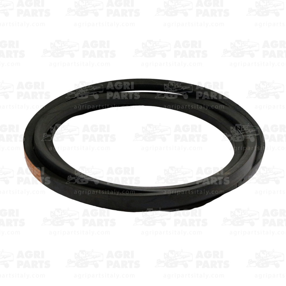 317904A1 - RIEMEN - 317904A1CNH