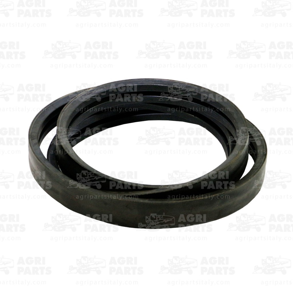 124573A1 - RIEMEN - 124573A1CNH