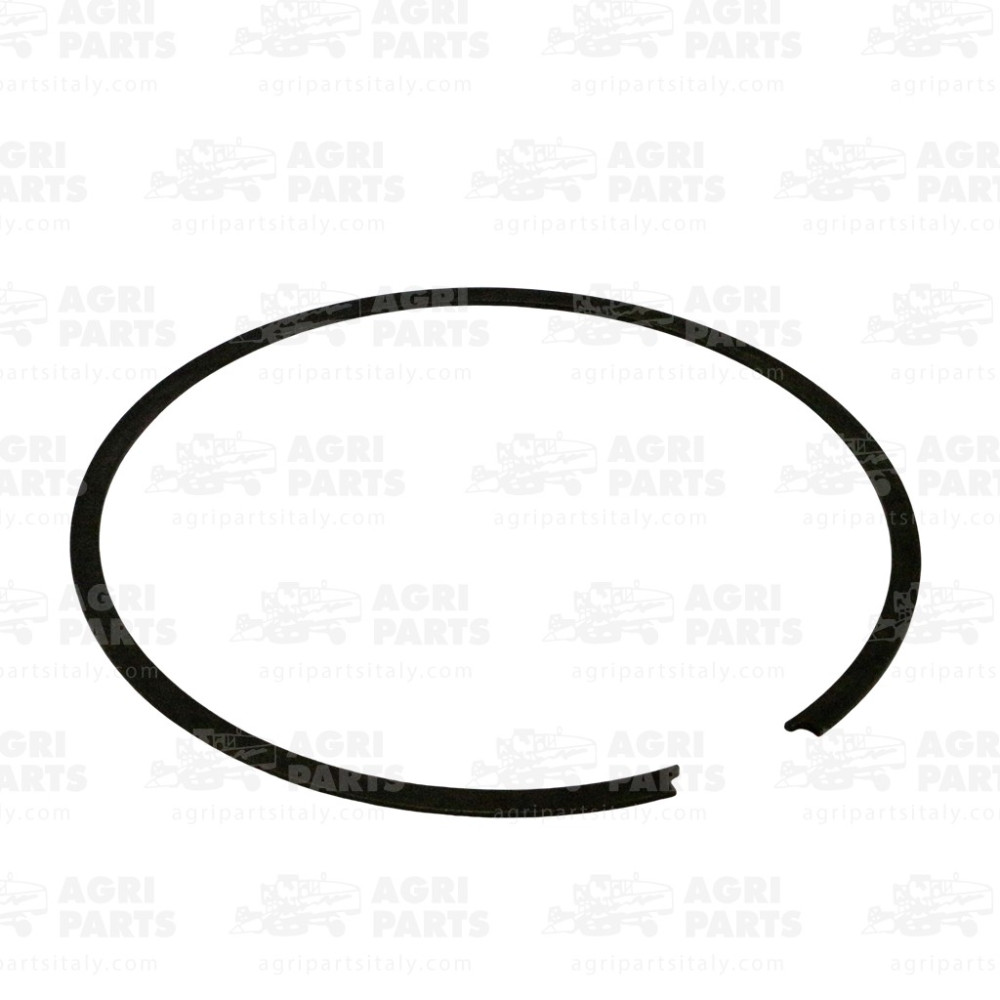 1963876C1 - SCHNAPPRING - 1963876C1CNH