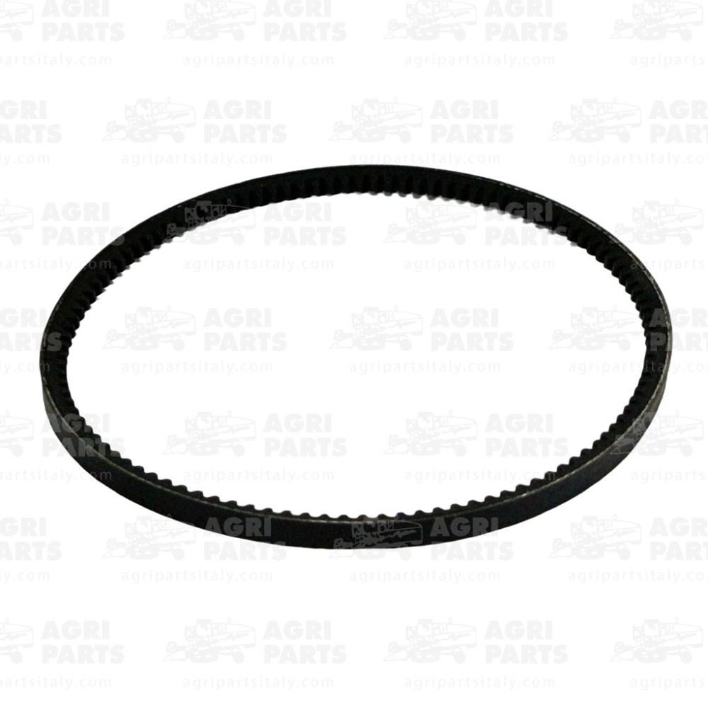 21486 - CINGHIA - 21486CNH