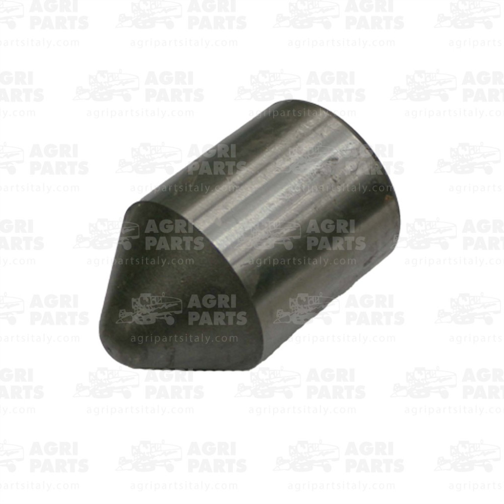 300015220 - PISTONCINO - LA300015220AG