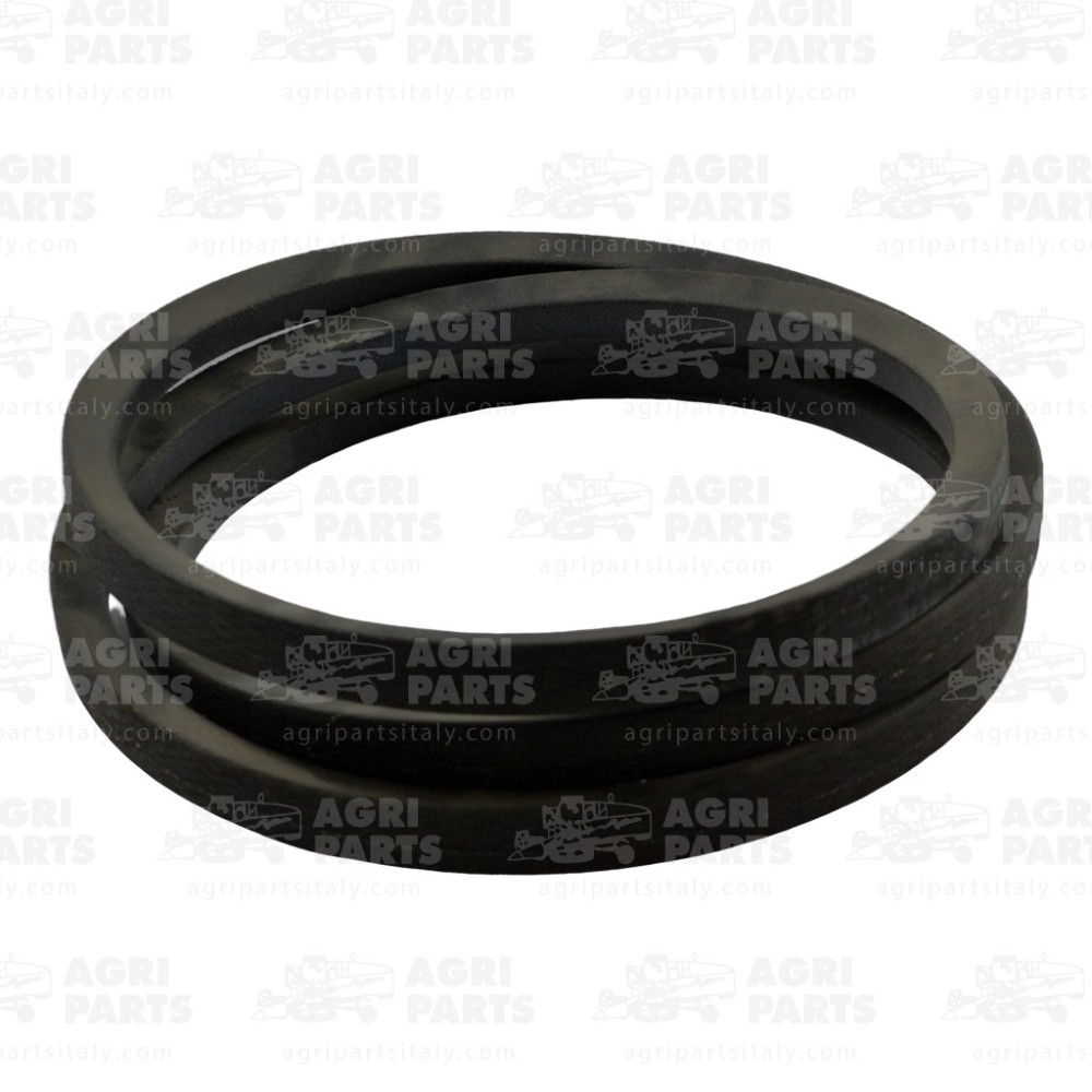 247426A1 - CINGHIA - 247426A1CNH