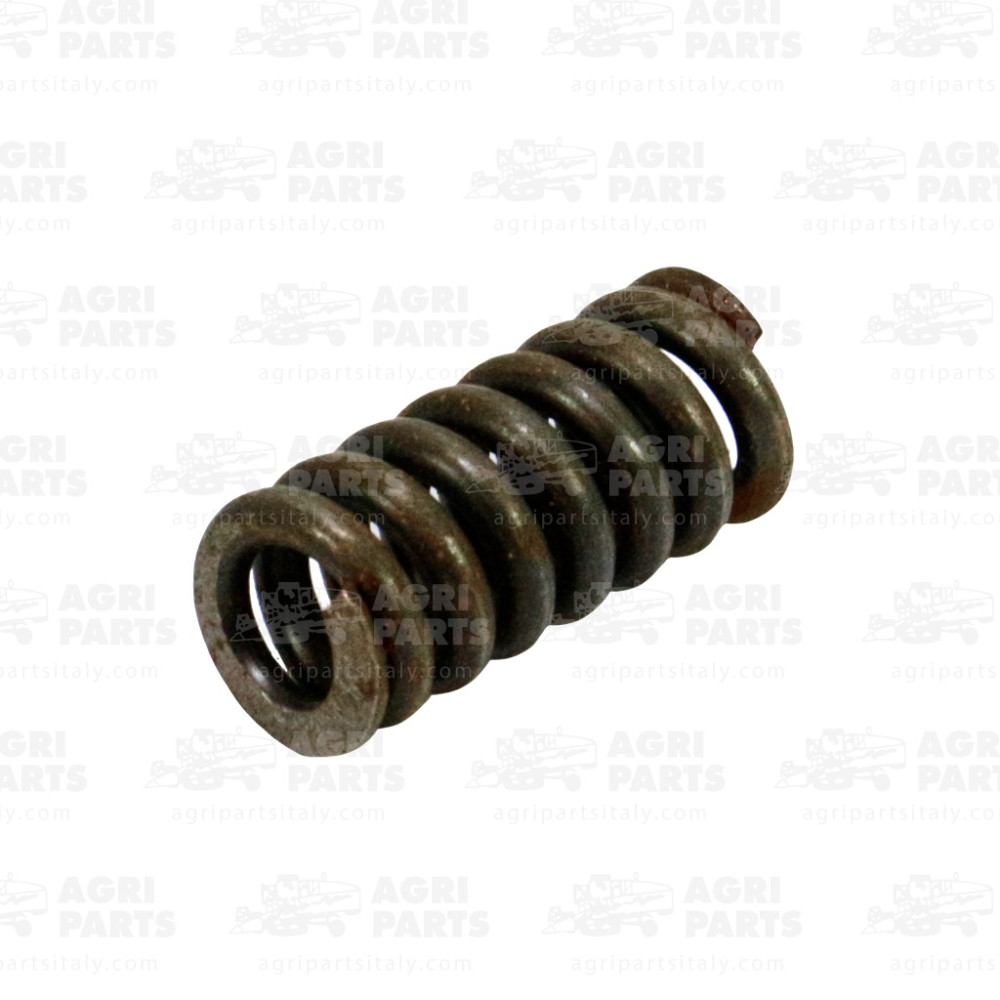 300113805 - SPRING - 300113805AG