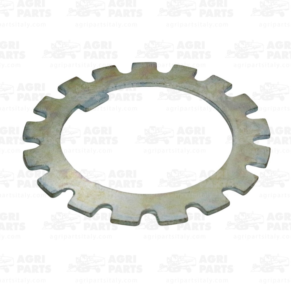 321008750 - RONDELLA - LA321008750AG