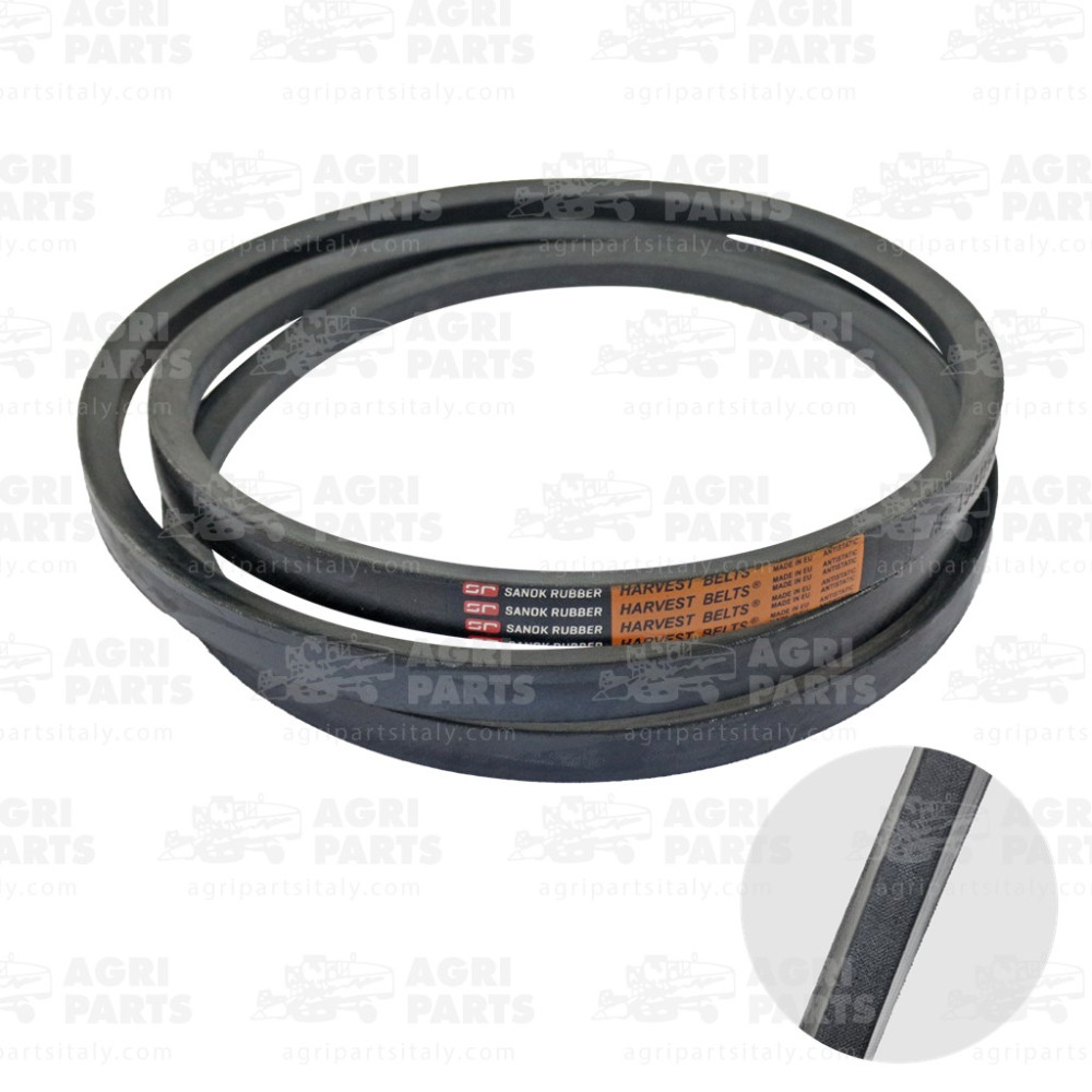 340432433 - CINGHIA - LA340432433AG