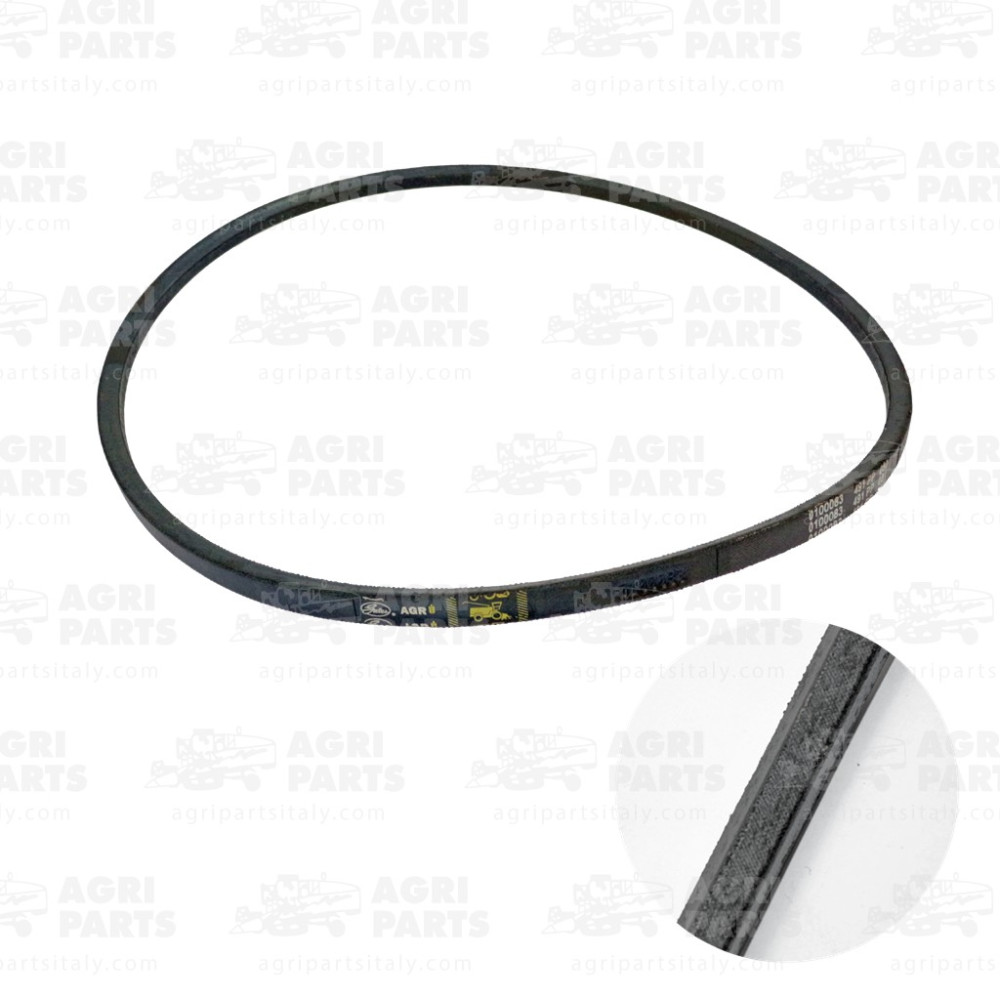 340433129 - RIEMEN - LA340433129AG