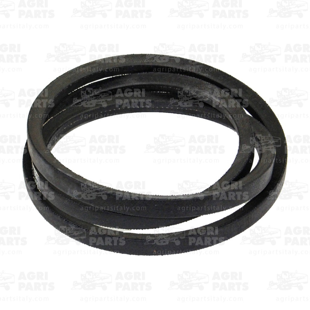 340433144 - RIEMEN - LA340433144AG