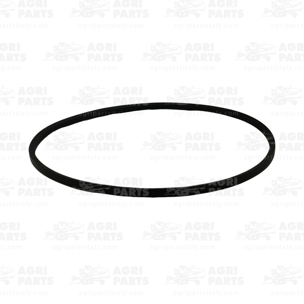 340433257 - CINGHIA - LA340433257AG