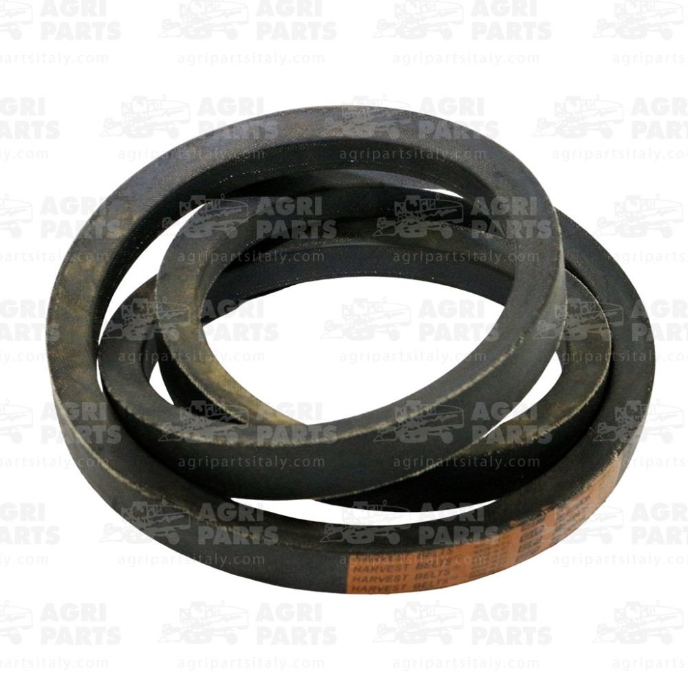 340433410 - CINGHIA - LA340433410AG