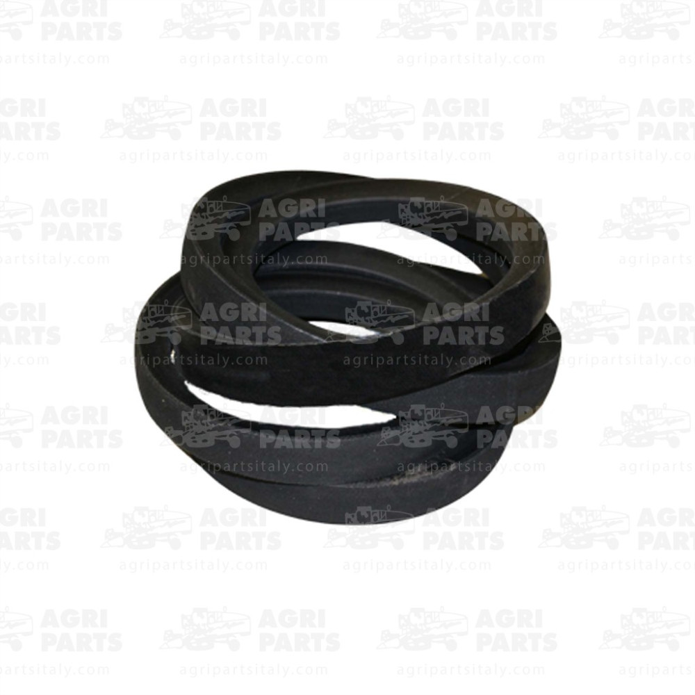 340433531 - CINGHIA - LA340433531AG