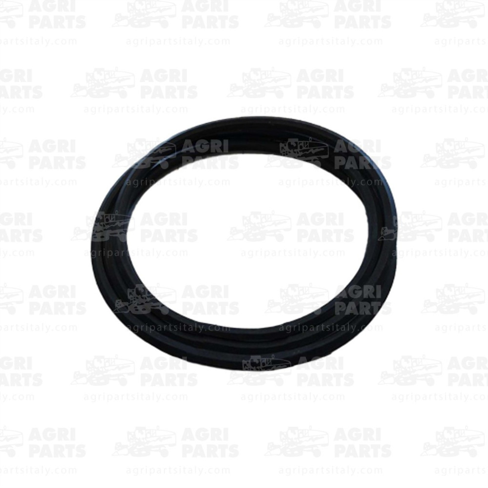 340433988 - RIEMEN - LA340433988AG