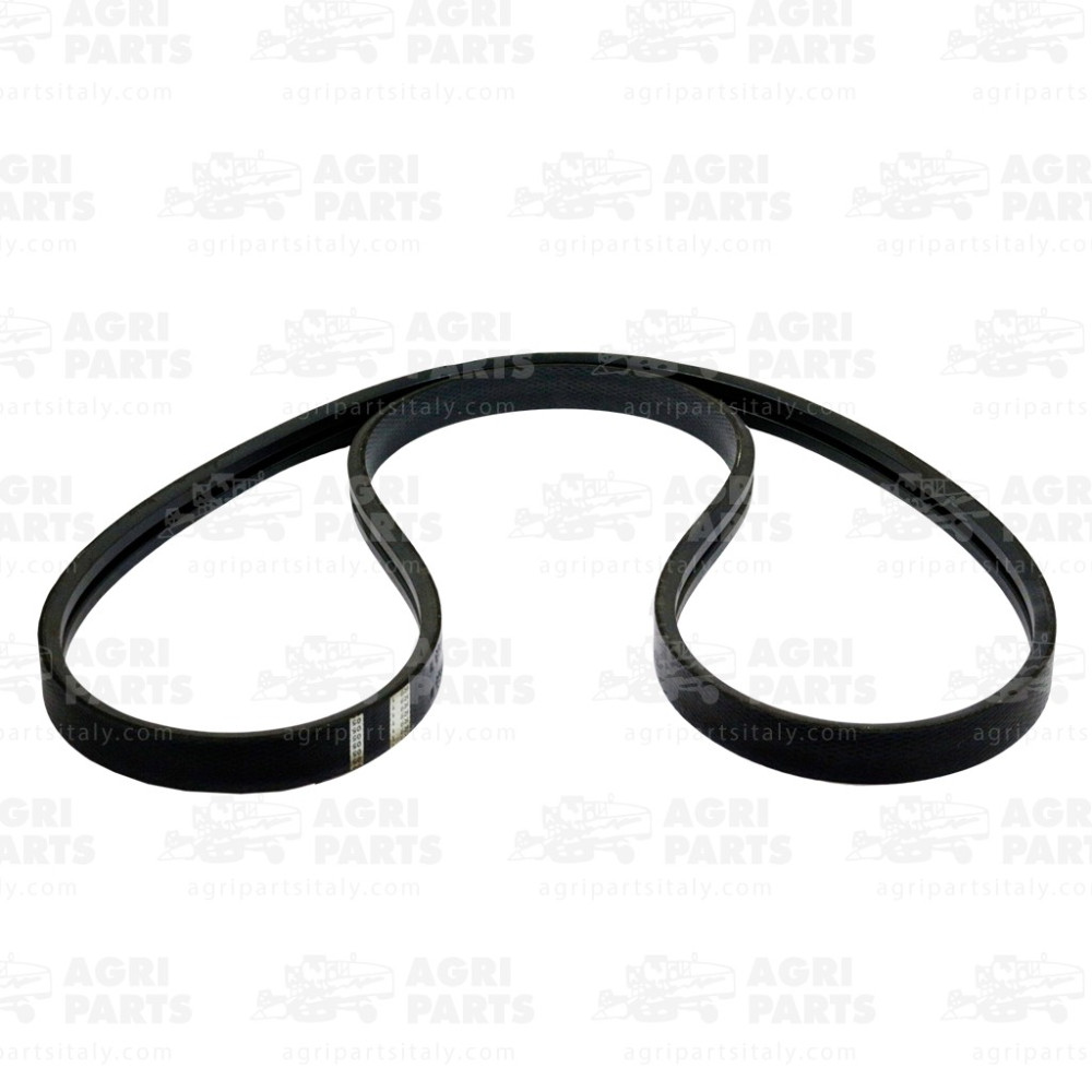 5540981 - RIEMEN (2HB) - 0005540981CL