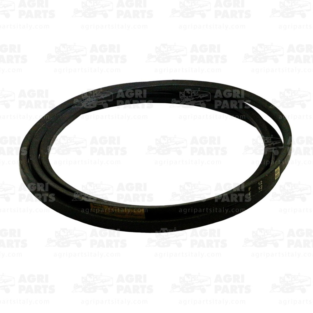 340433179 - CINGHIA - LA340433179AG