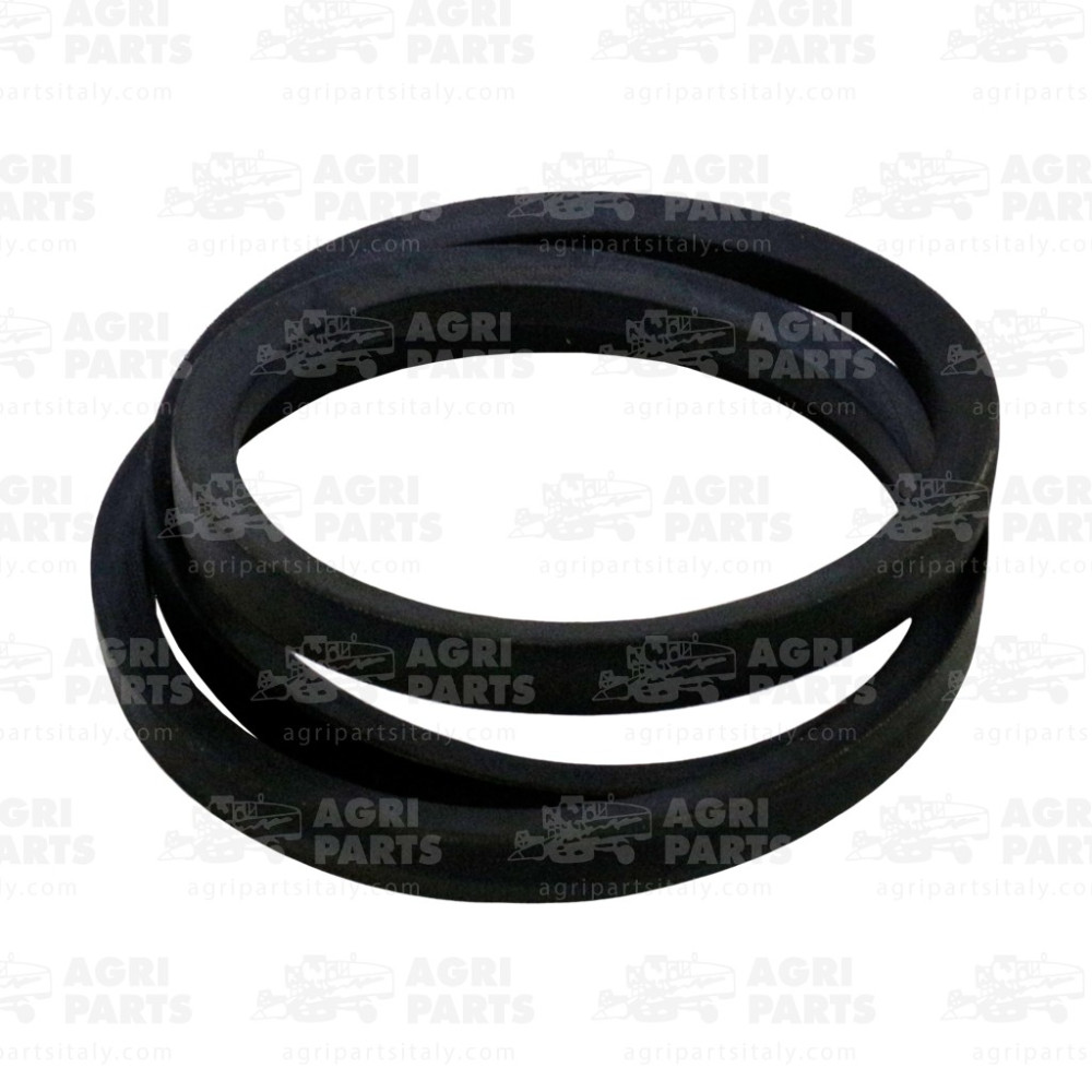 340433237 - RIEMEN - LA340433237AG