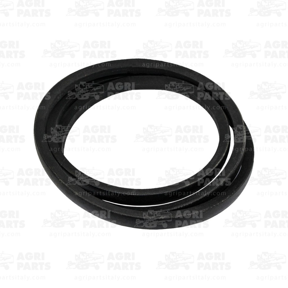 340433469 - CINGHIA - LA340433469AG