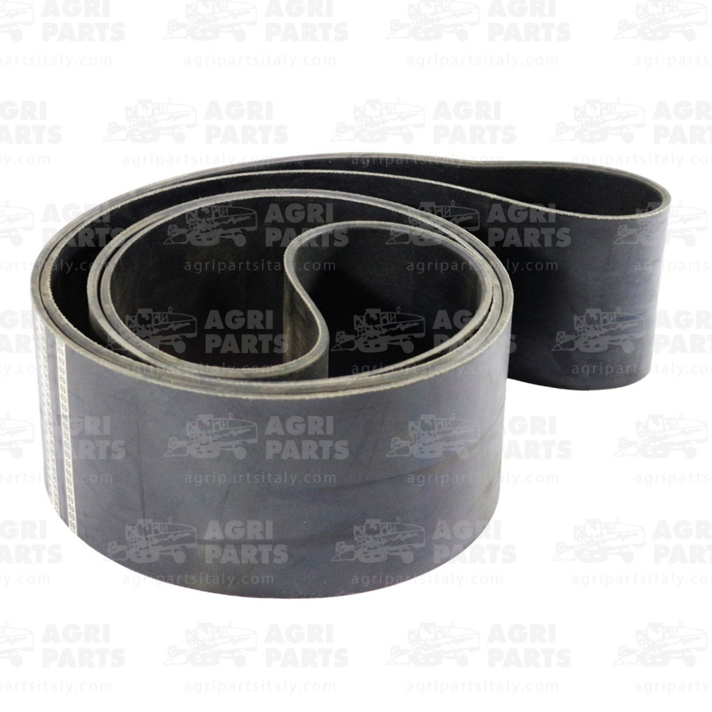 340434245 - CINGHIA - LA340434245AG