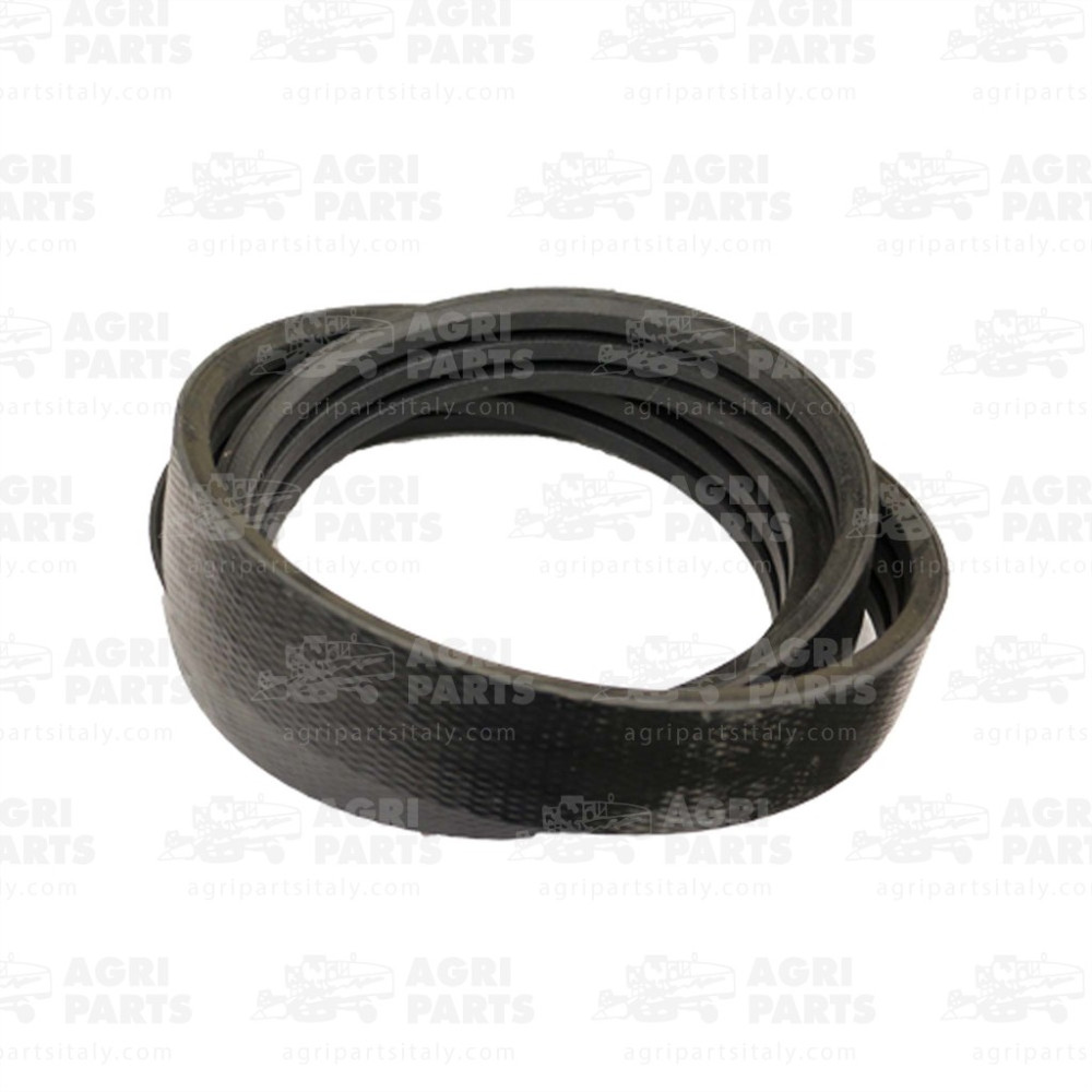 344311217 - CINGHIA - LA344311217AG