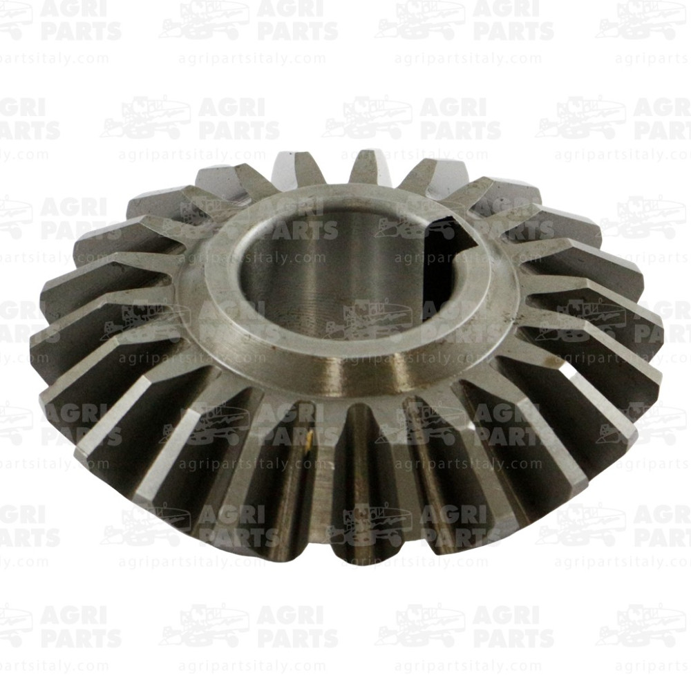 300136146 - CORONA - LA300136146AG