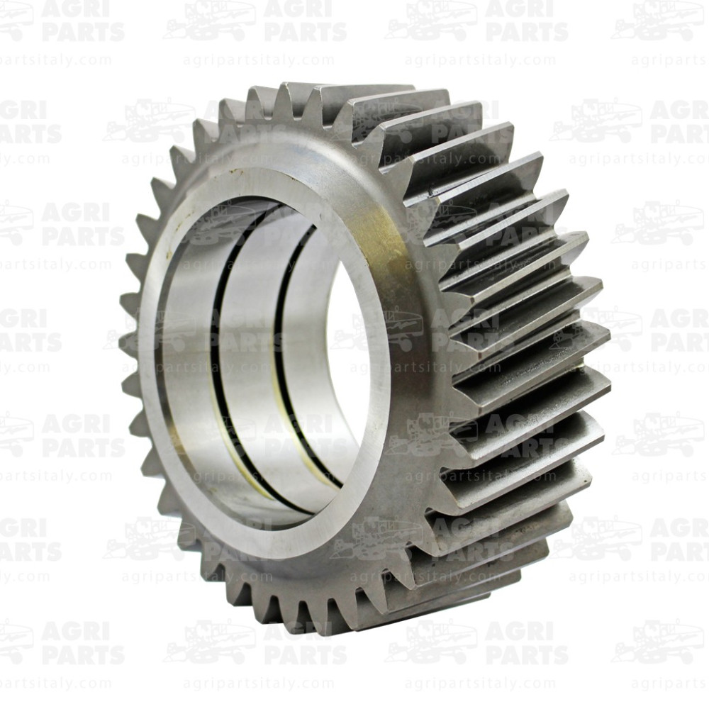 302554A1 - GEARSCHAFT - 302554A1CNH