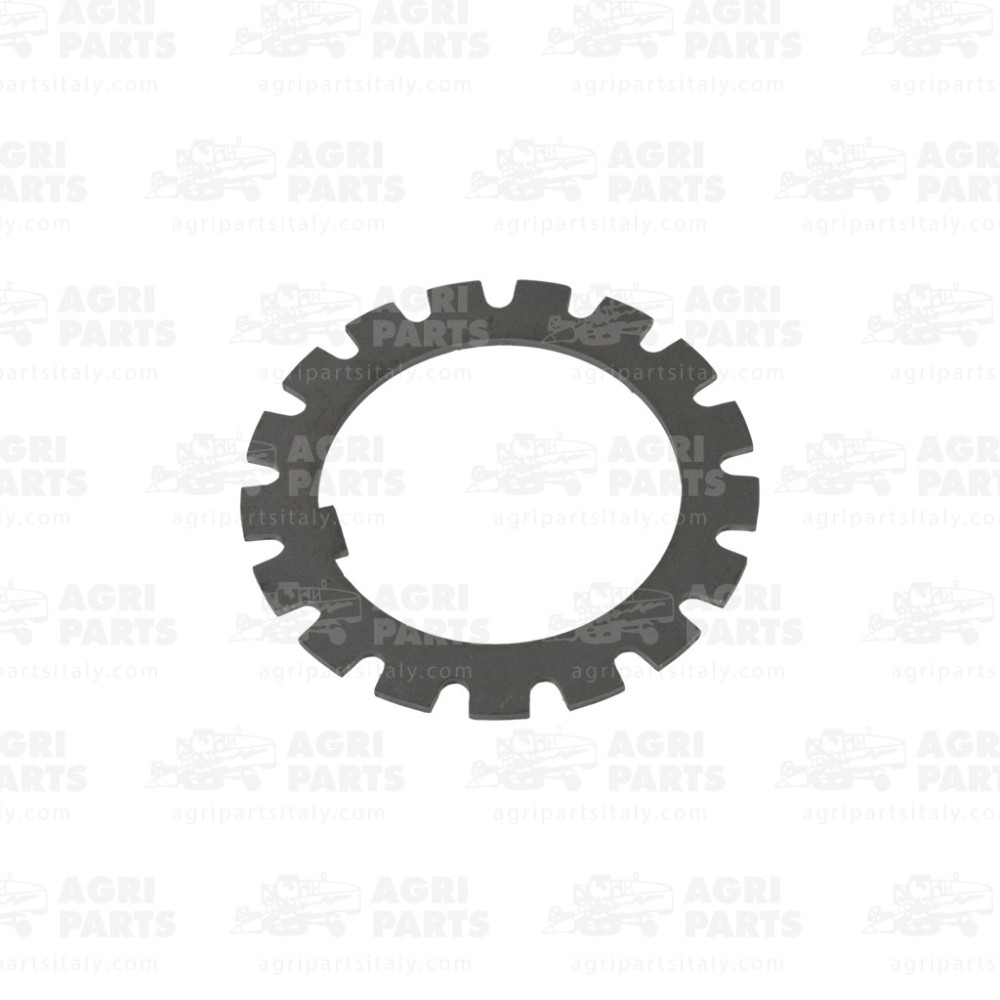 320444650 - RONDELLA - LA320444650AG