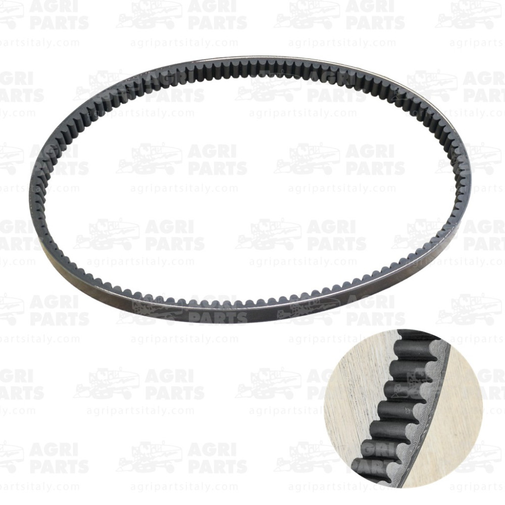 3226971M2 - CINGHIA - 3226971M2MF