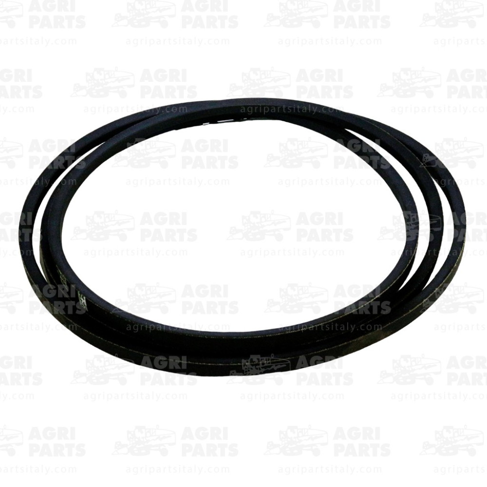 340433197 - RIEMEN - LA340433197AG