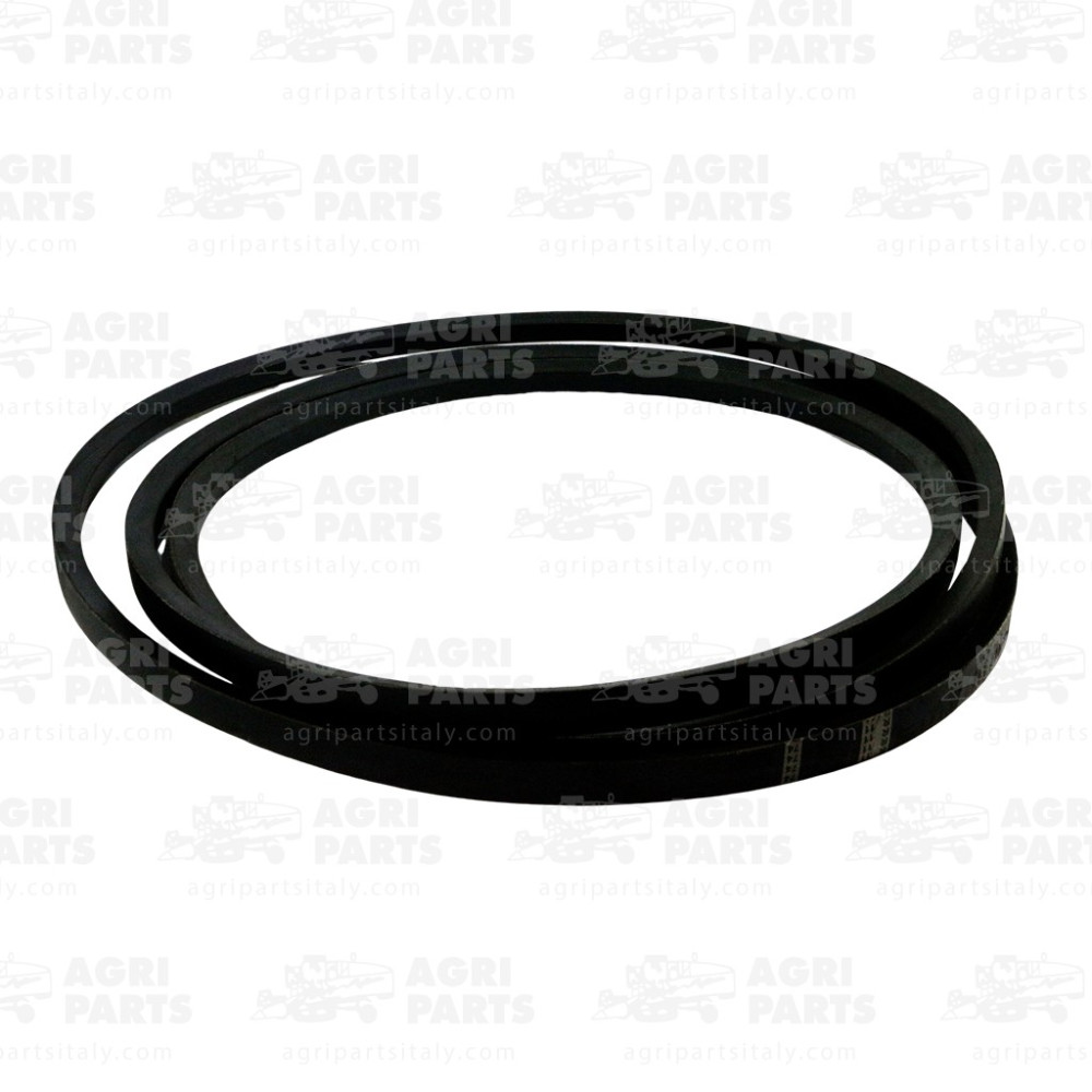 340433446 - CINGHIA - LA340433446AG