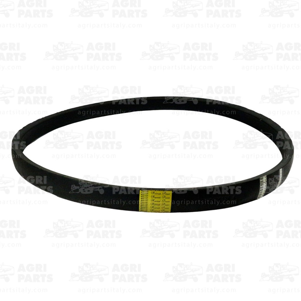 340435124 - RIEMEN - VARI - LA340435124AG