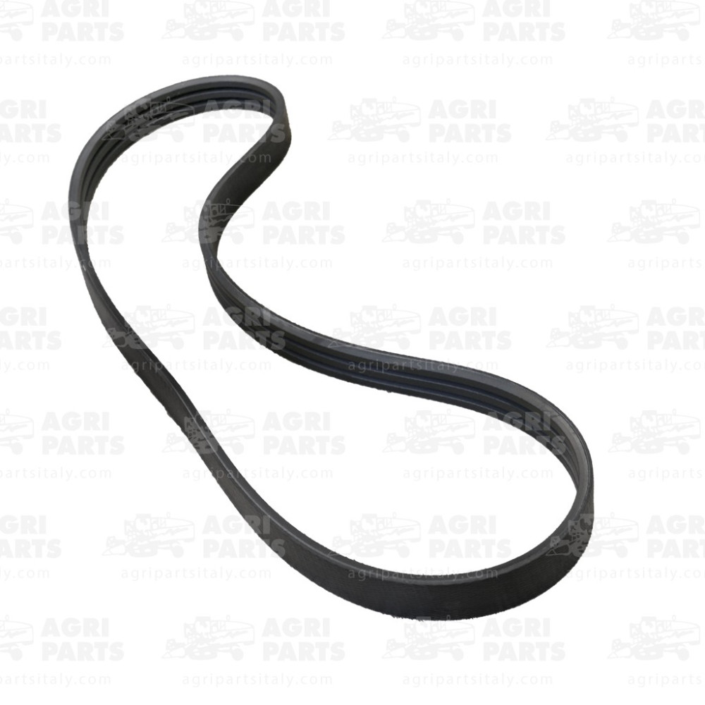 344311226 - CINGHIA - LA344311226AG