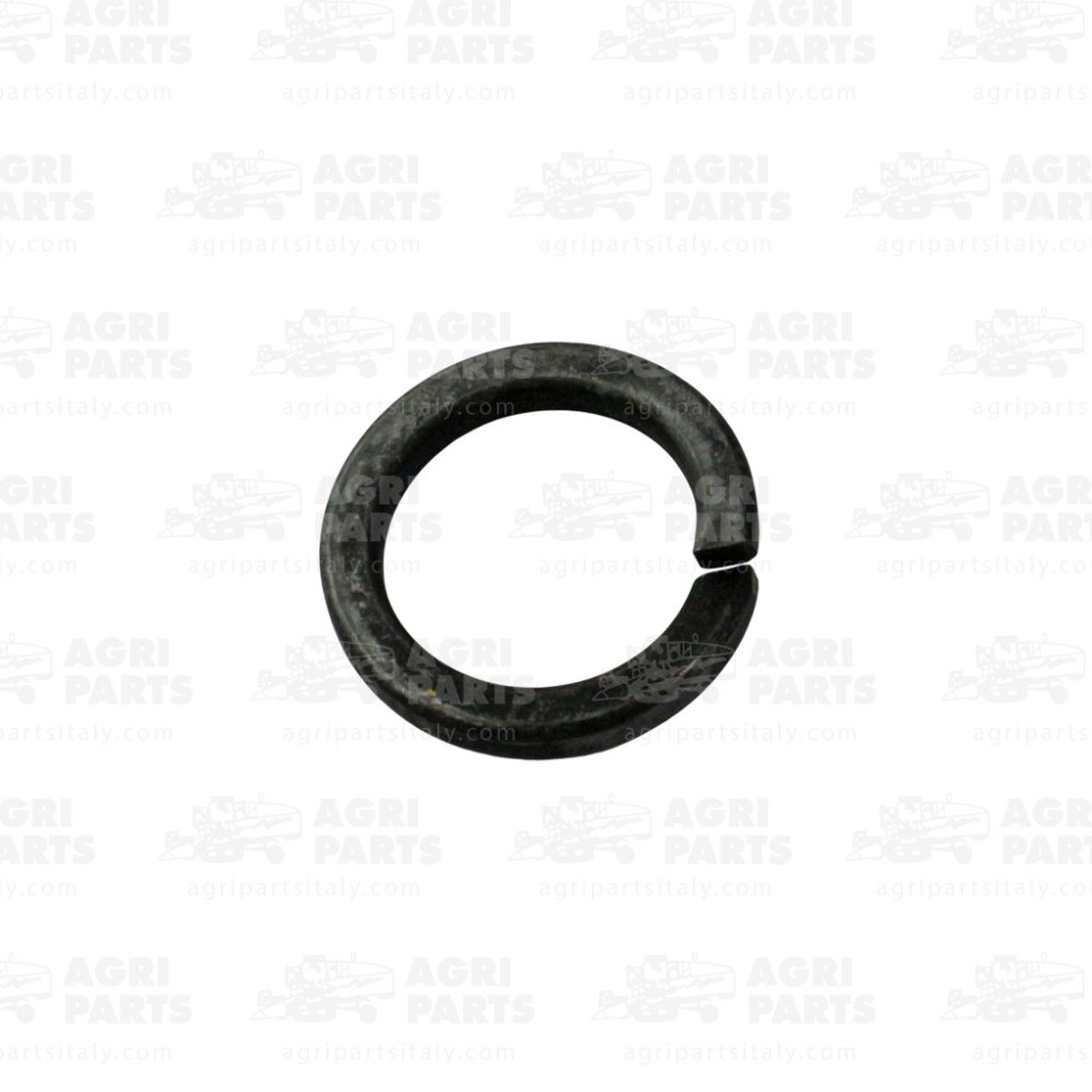 350354630 - RONDELLA SPACCATA - LA350354630AG
