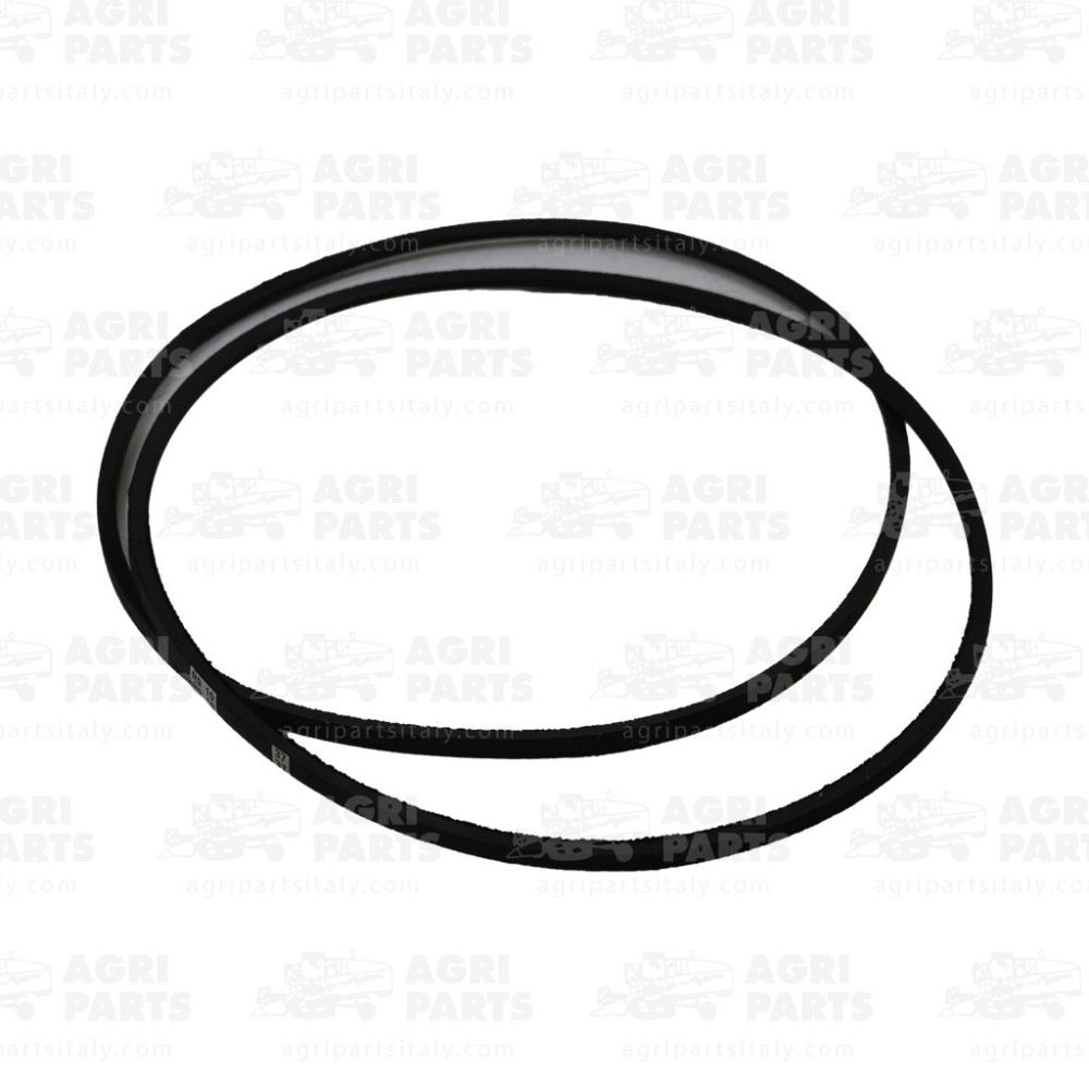 4796328 - SET 2 CINGHIE - LA4796328AG