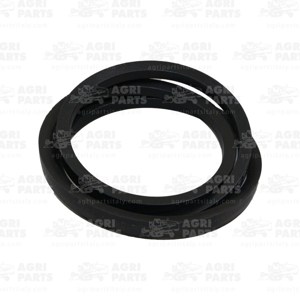 340433416 - CINGHIA - 340433416AG