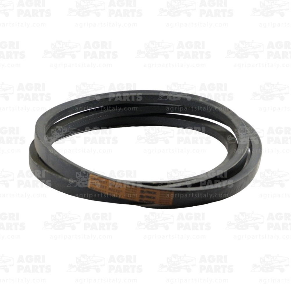 340433477 - RIEMEN - LA340433477AG