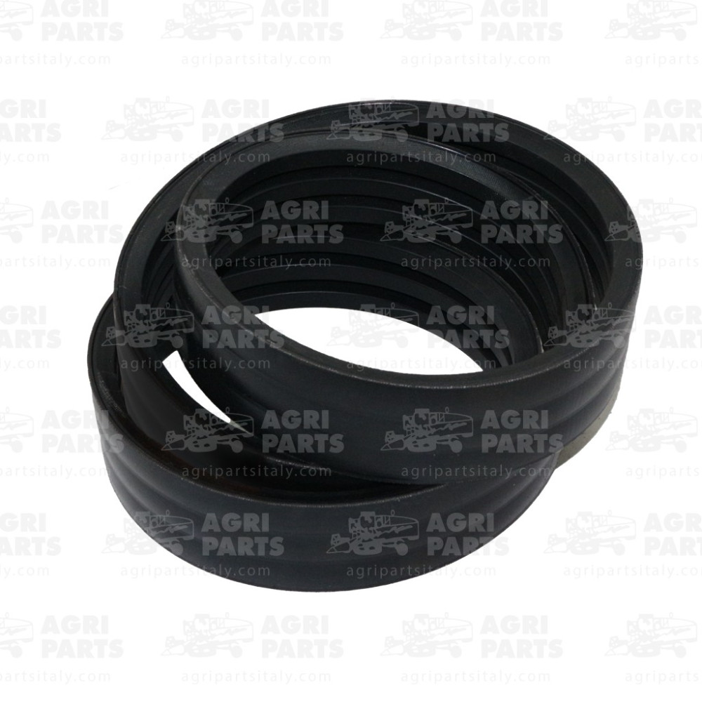 344311212 - RIEMEN - LA344311212AG