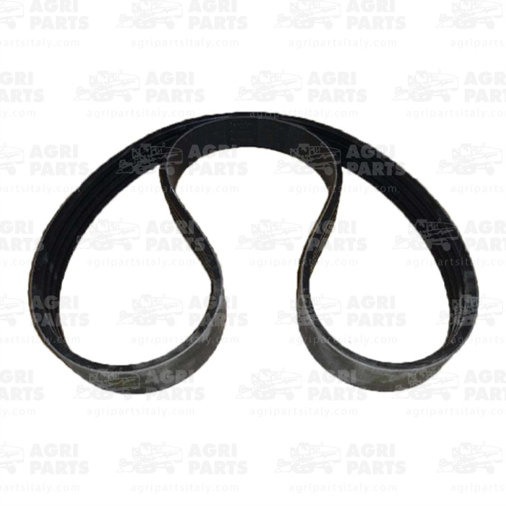 344311316 - CINGHIA - LA344311316AG