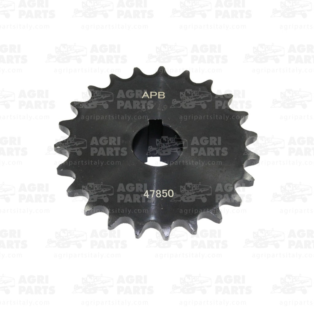 320947850 - PIGNONE - LA320947850AG