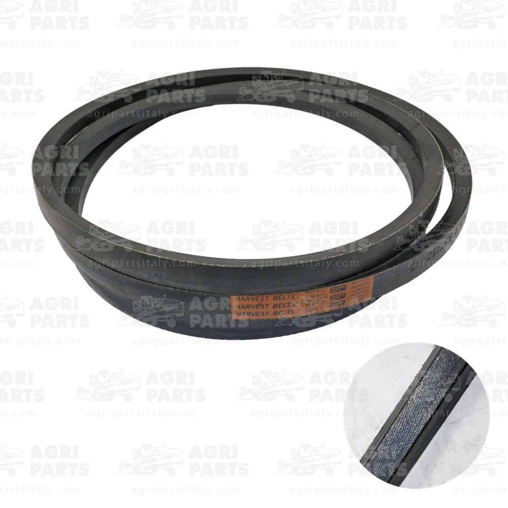 340433440 - RIEMEN - LA340433440AG